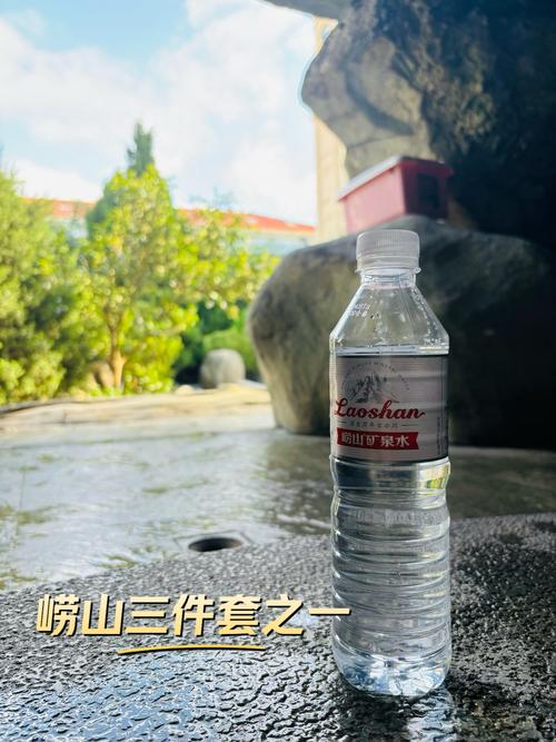 2025崂山矿泉水招商