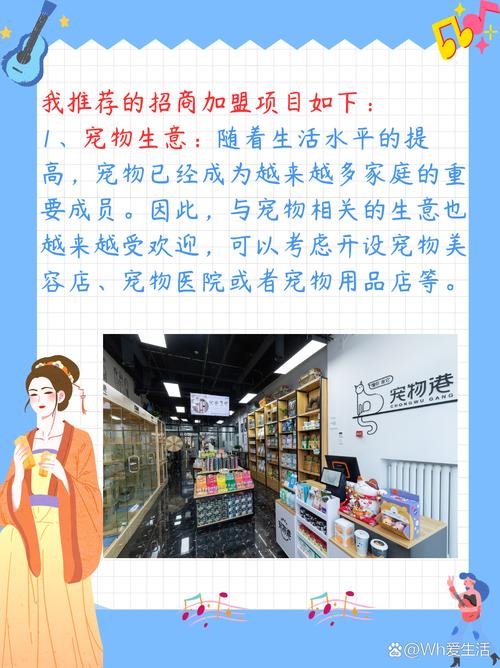 怎么做网络招商加盟项目