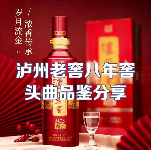 2025泸州老窖招商