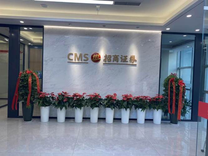 国内 知名 招商中介