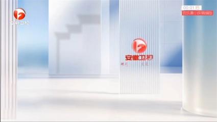 2025安徽卫视招商